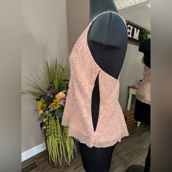 Express • Rose Gold Sequin Peplum Cami Blouse - Picture 10 of 10